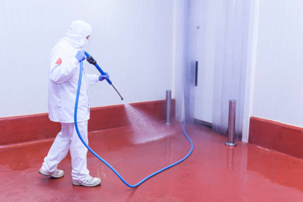 Playground Equipment Cleaning